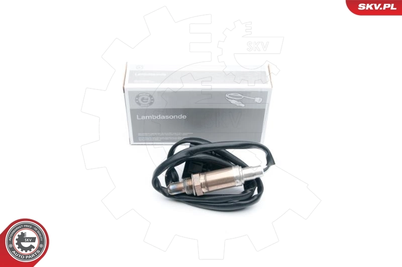 Oxygen Sensor